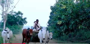 उतनूरचे दिवस-1-Memories-at-Utnoor-By Ajay Kotnis 3 utnoor-8